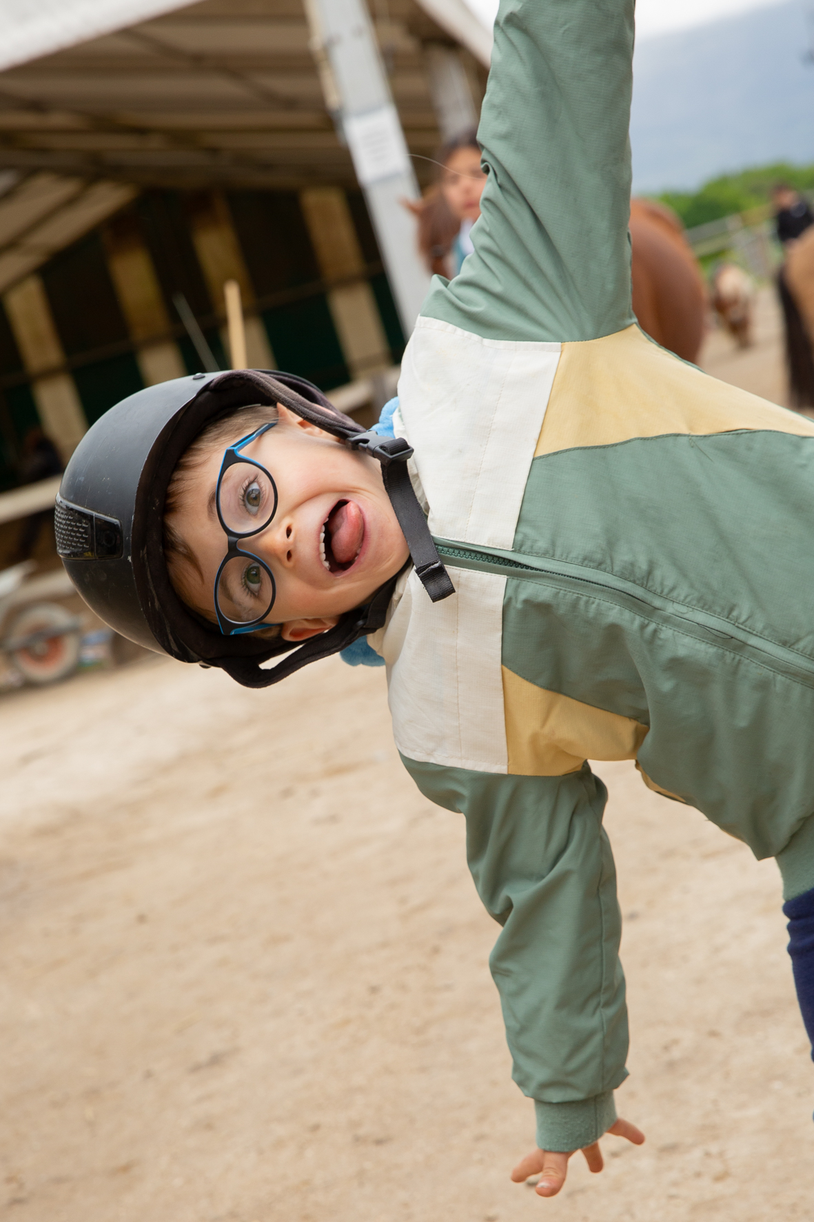 Les animaux de la forêt